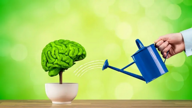 [Елена Петри] Память, которая помогает достигать, _0.png